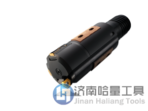 CoroDrill® 818是一种全新的扩孔概念刀具，配备有新型TXN刀片和T形导轨刀片座接口，能够提供很高的加工安全性。该刚性刀具易于使用，并且由于扩展了可调整范围而使其具有更高的灵活性。