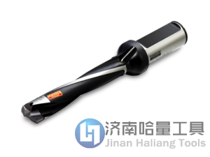 CoroDrill® 870可换头钻头专为中间范围公差（IT9–IT10）的孔加工而设计，这一钻头既能节省加工时间，又能降低单孔加工成本。

CoroDrill® 870可针对具体应用，对钻头的直径、长度和台阶进行优化订制。从而使钻削变得更加高效，更加贴近您的要求，并为下一个工序做好更充分的准备。
