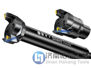 DuoBore™ 821是一款通用型粗镗刀具，可用于三种不同的工序类型：多刃、阶梯和单刃镗削。滑块可分别进行轴向和径向调整。CoroBore 820所带的接柄带有匹配滑块、刀垫和盖板，这使其能够适合加工各种材料和多种工况。